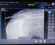 Polícia Penal do Paraná