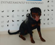 Polícia Penal do Paraná