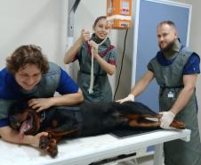 Polícia Penal do Paraná