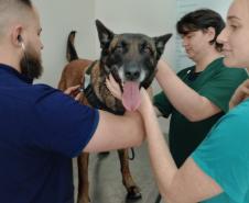 Polícia Penal do Paraná