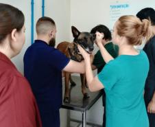 Polícia Penal do Paraná