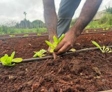 Polícia Penal do Paraná