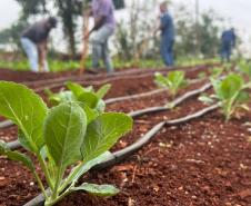 Polícia Penal do Paraná