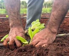 Polícia Penal do Paraná