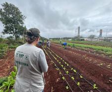 Polícia Penal do Paraná