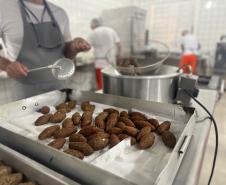 Polícia Penal do Paraná