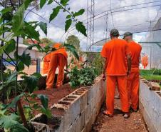 Polícia Penal do Paraná