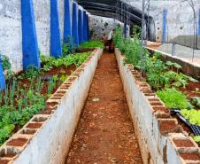 Polícia Penal do Paraná