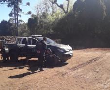 Polícia Penal do Paraná