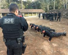 Polícia Penal do Paraná