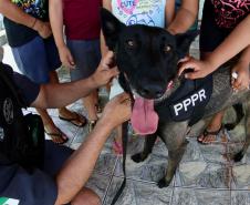 Cães da Polícia Penal reforçam segurança no Litoral durante o Verão Maior Paraná
