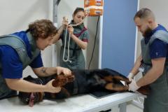 Polícia Penal do Paraná