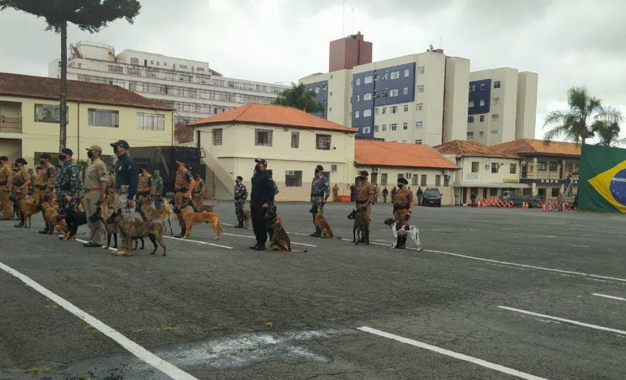 Policial Penal participa de treinamento com cães ofertado pela PM