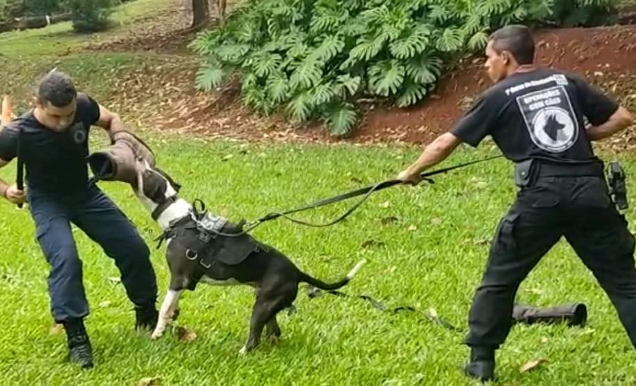 Polícia Penal participa de Formação de Condutores de Cães de Polícia em Londrina