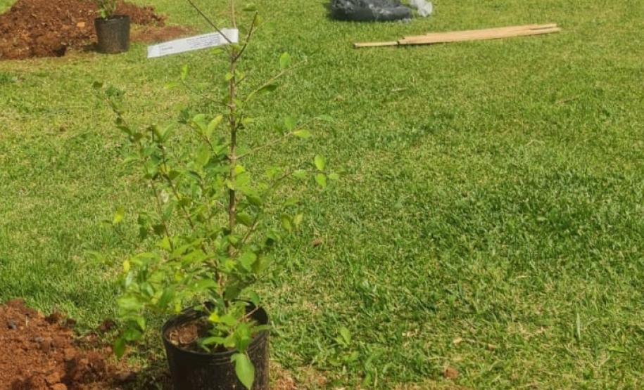 Foto: Polícia Penal do Paraná