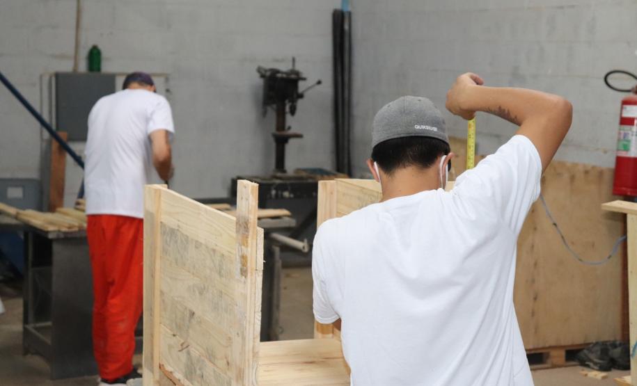 Projeto Pipoca: Polícia Penal entrega casinhas fabricadas por pessoas privadas de liberdade para cães em situação de rua