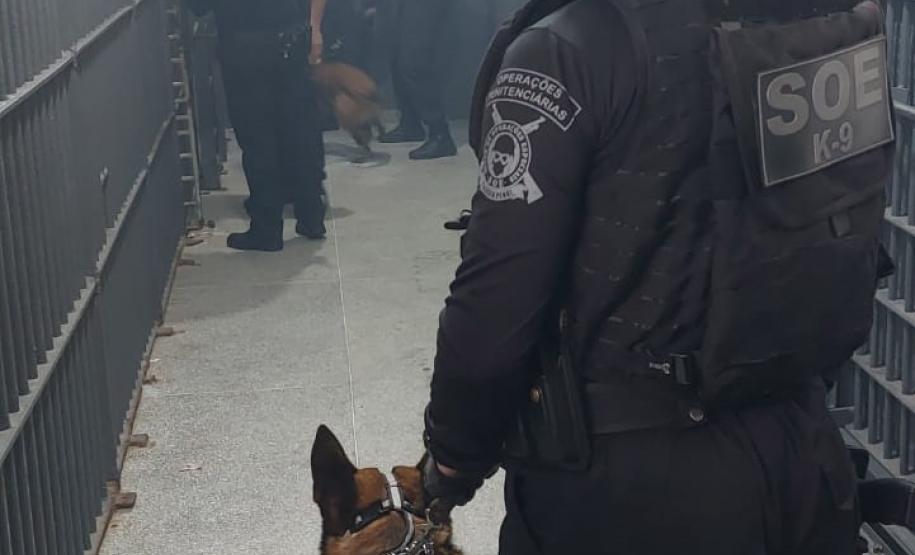 Polícia Penal do Paraná