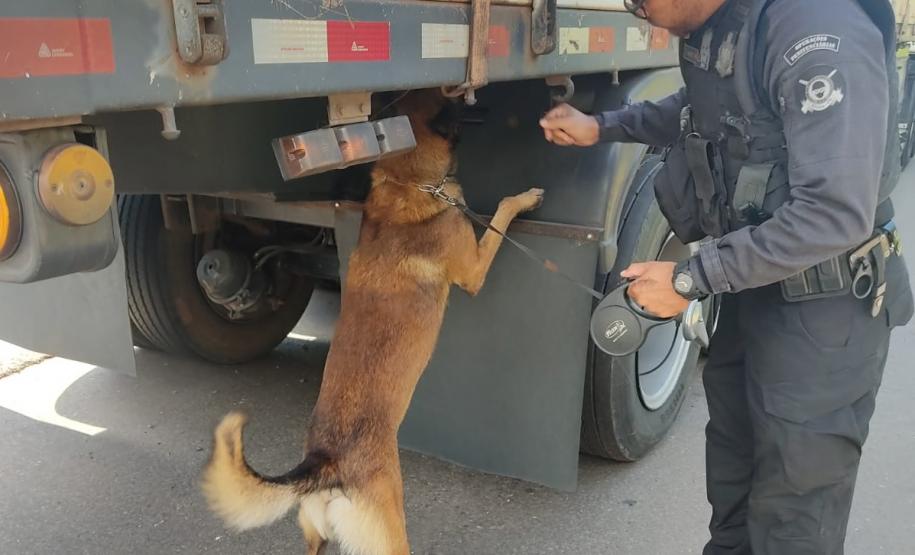 Polícia Penal do Paraná