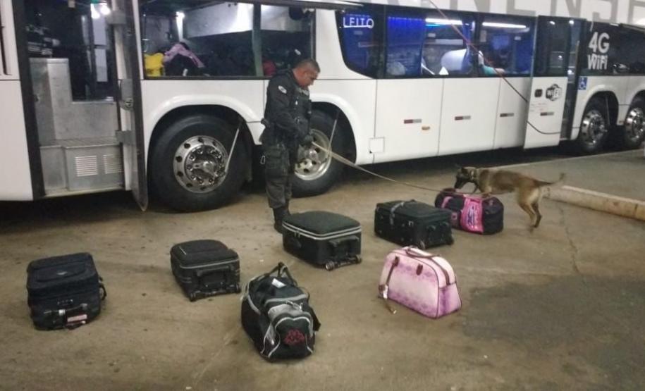 Polícia Penal do Paraná