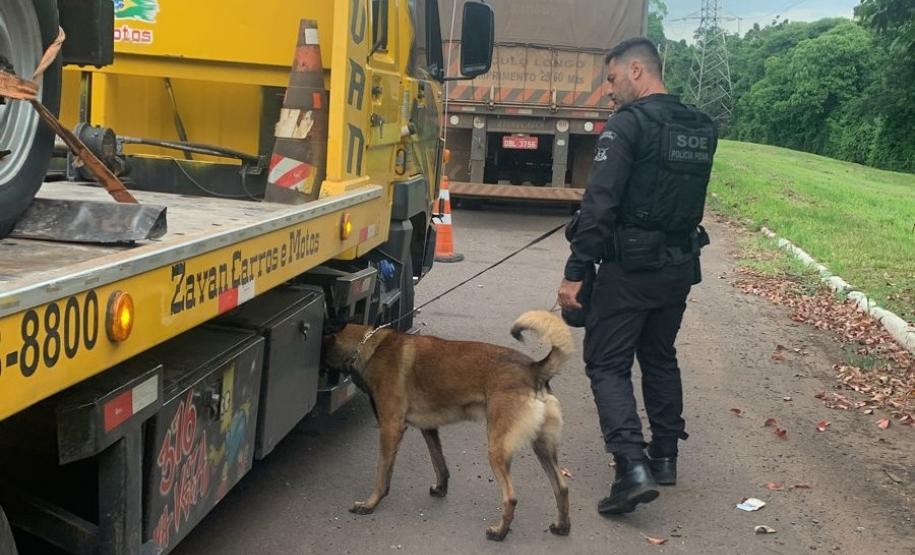 Polícia Penal do Paraná