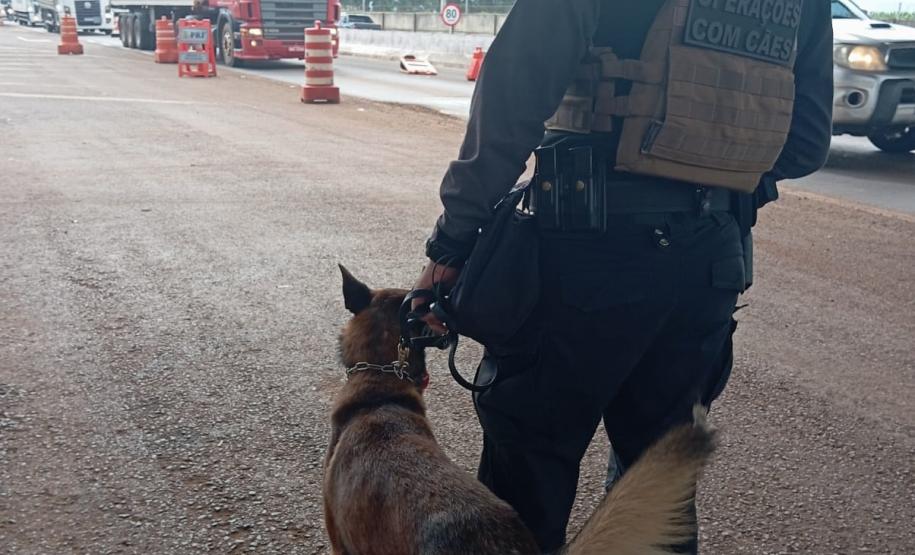 Polícia Penal do Paraná