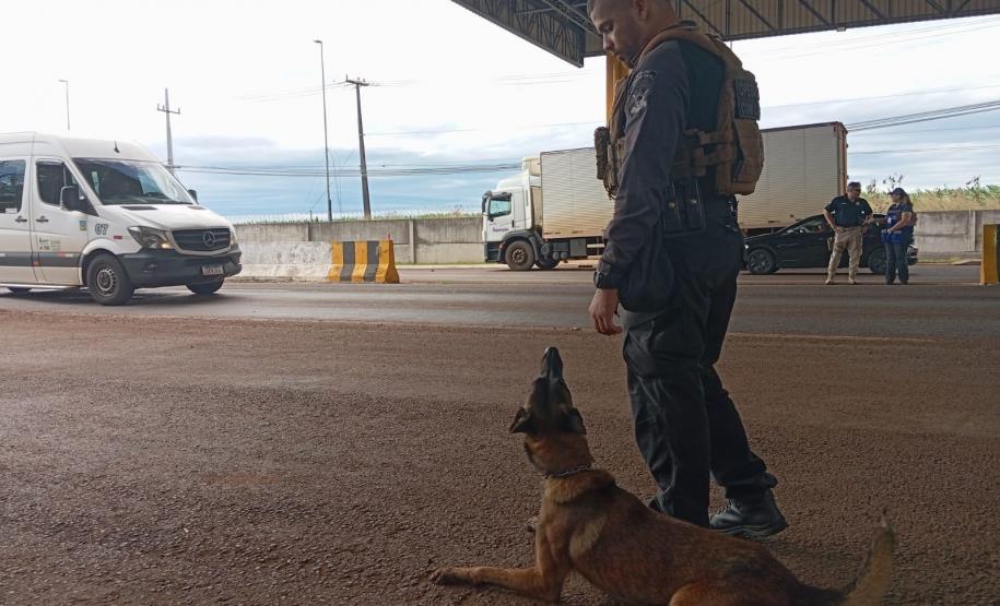 Polícia Penal do Paraná