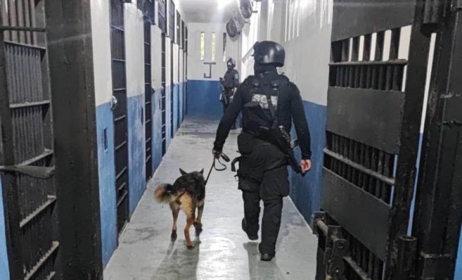 Polícia Penal do Paraná