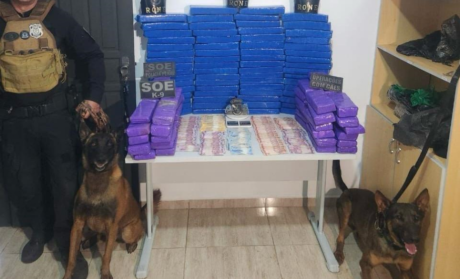 Polícia Penal apoia BPRone com cão K9 em operação que apreendeu mais de 100 kg de maconha