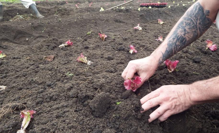 Polícia Penal do Paraná