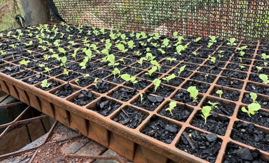 Polícia Penal do Paraná