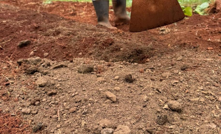 Polícia Penal do Paraná