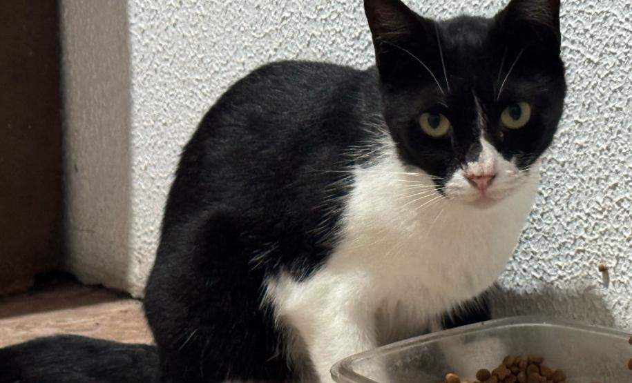 Polícia Penal do Paraná