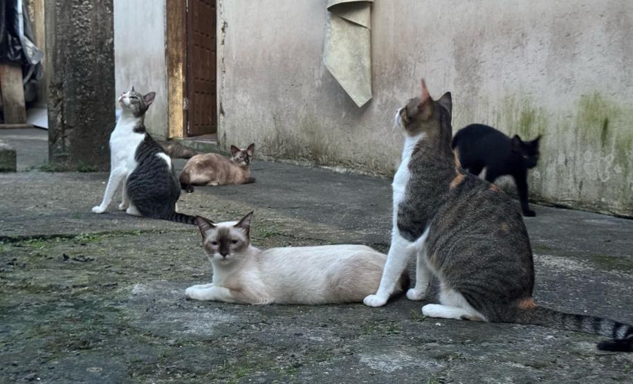 Polícia Penal do Paraná