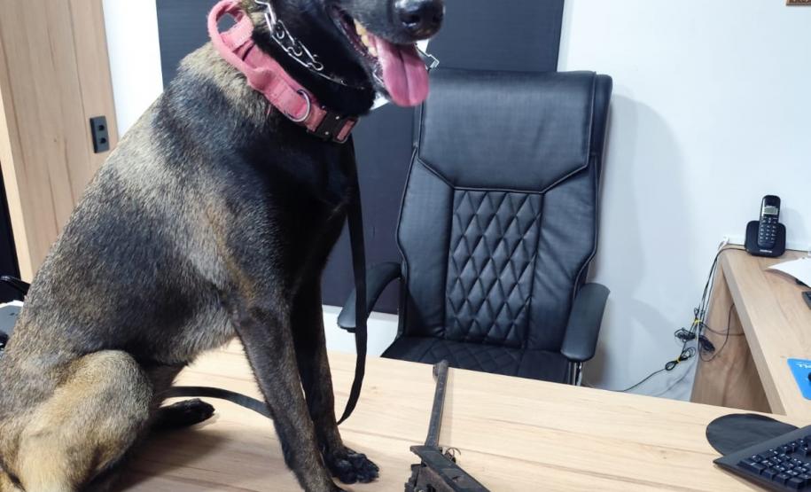 Polícia Penal do Paraná