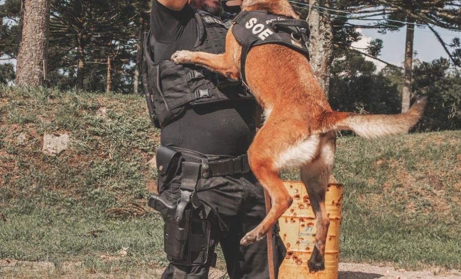 Polícia Penal do Paraná presta homenagem a Kira, primeira K-9 da instituição