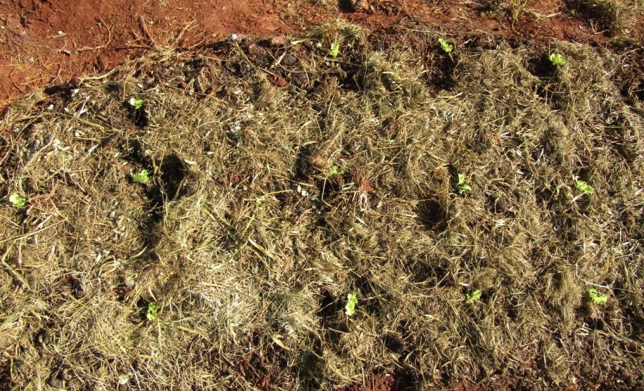 Polícia Penal do Paraná
