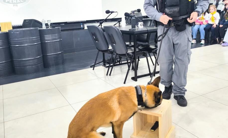 Polícia Penal do Paraná