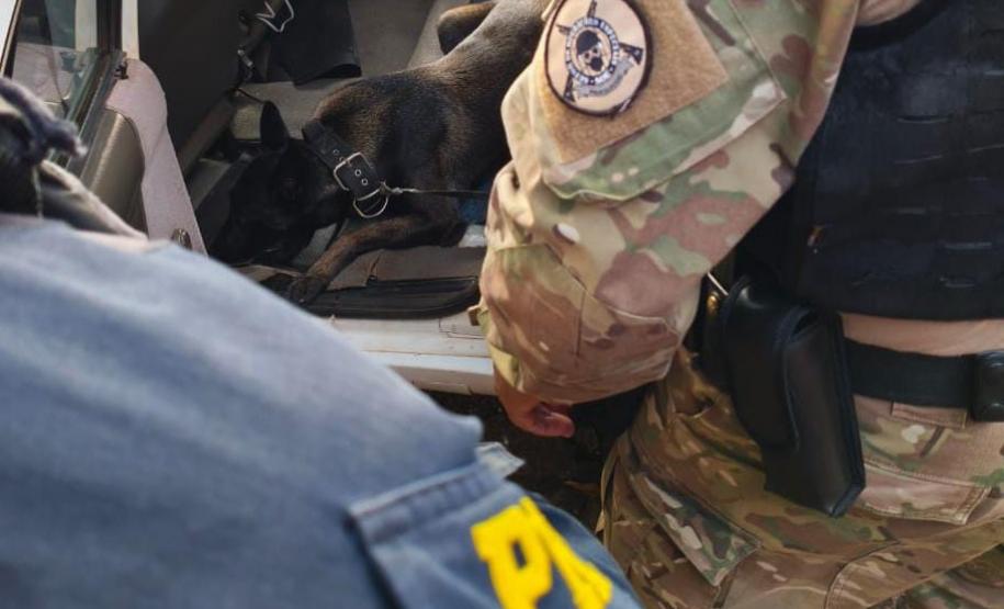 Polícia Penal do Paraná