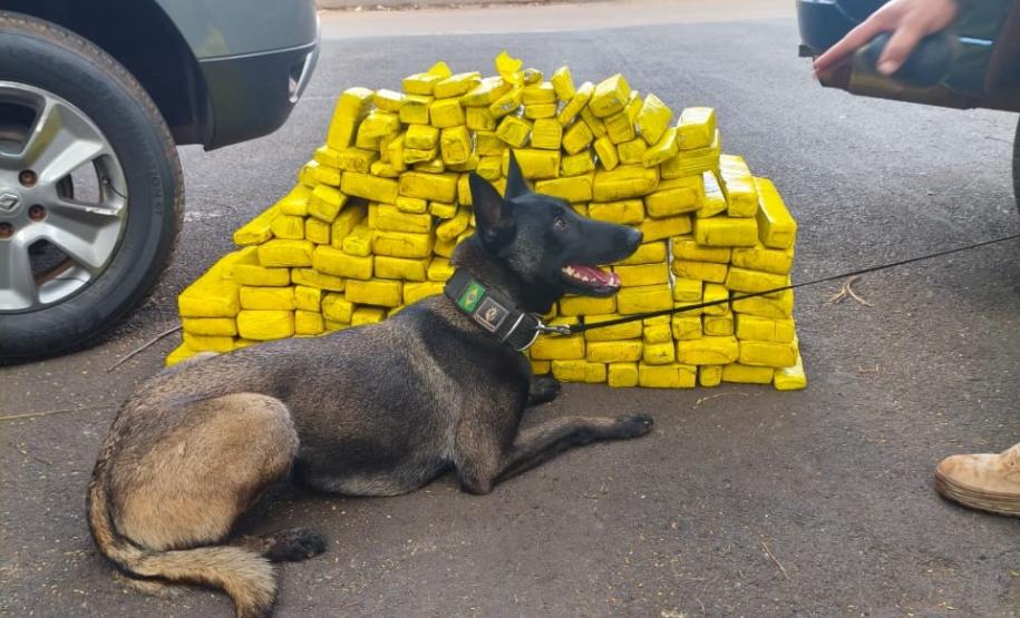 Polícia Penal do Paraná