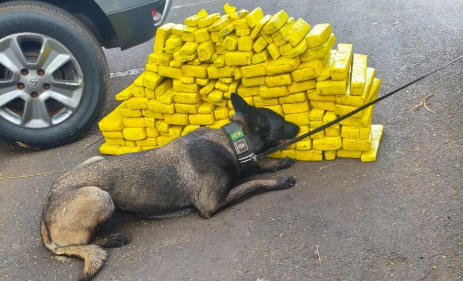 Polícia Penal do Paraná