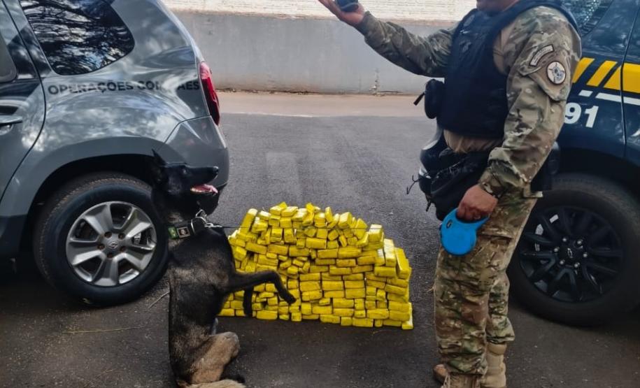 Polícia Penal do Paraná