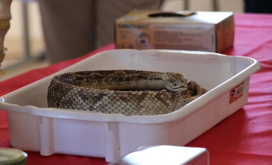 Polícia Penal do Paraná