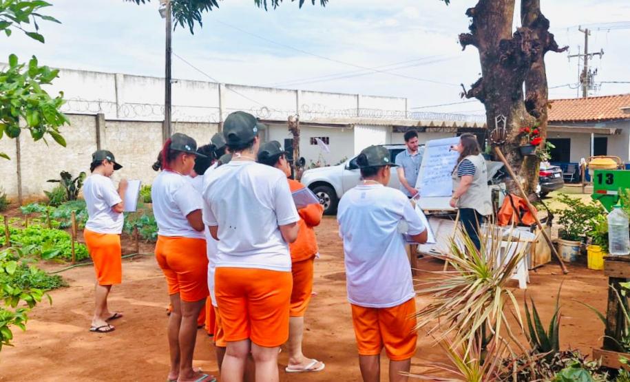 Cadeia Pública Feminina de Alto Paraná conclui curso de qualificação em olericultura
