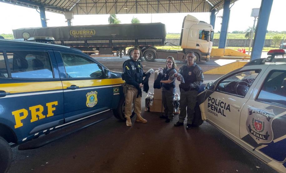 Custodiadas de Goioerê vão produzir cerca de 2 mil perucas com cabelo apreendido pela PRF