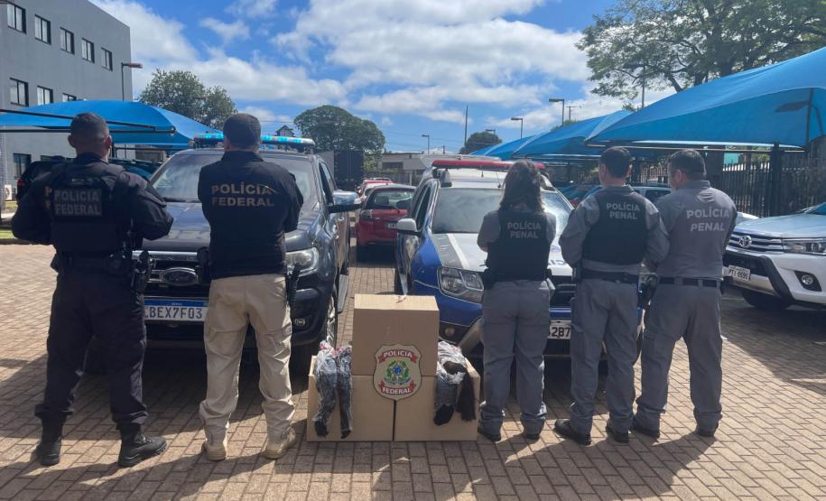 Custodiadas de Goioerê vão produzir cerca de 2 mil perucas com cabelo apreendido pela PRF