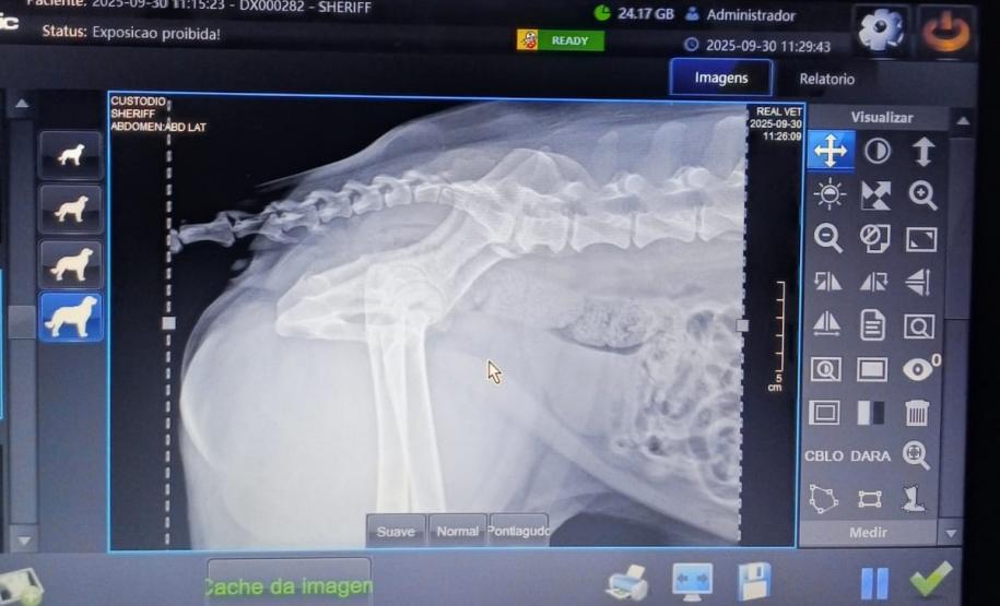 Polícia Penal do Paraná