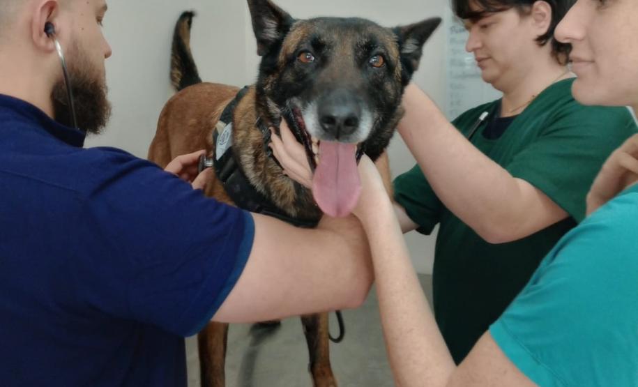 Polícia Penal do Paraná