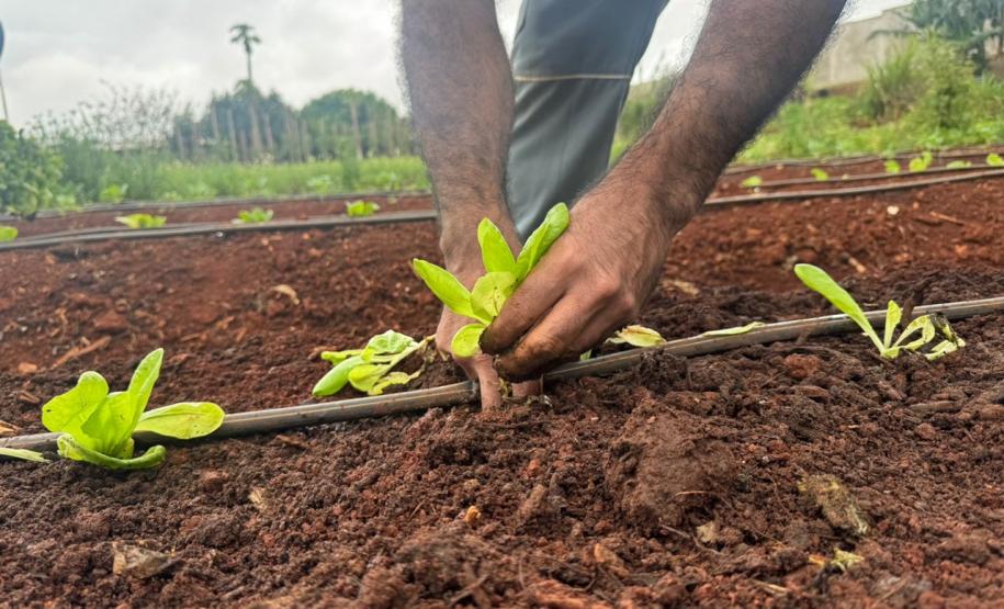 Polícia Penal do Paraná