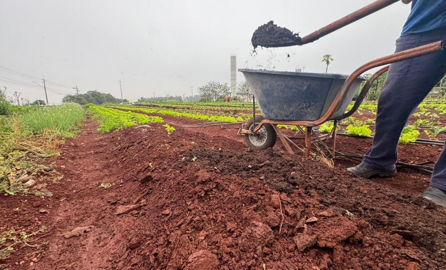 Polícia Penal do Paraná