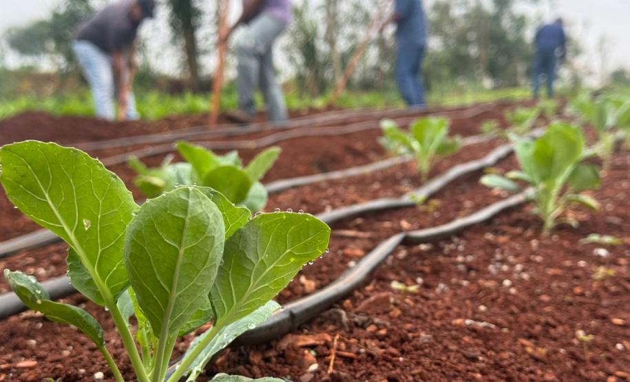 Polícia Penal do Paraná